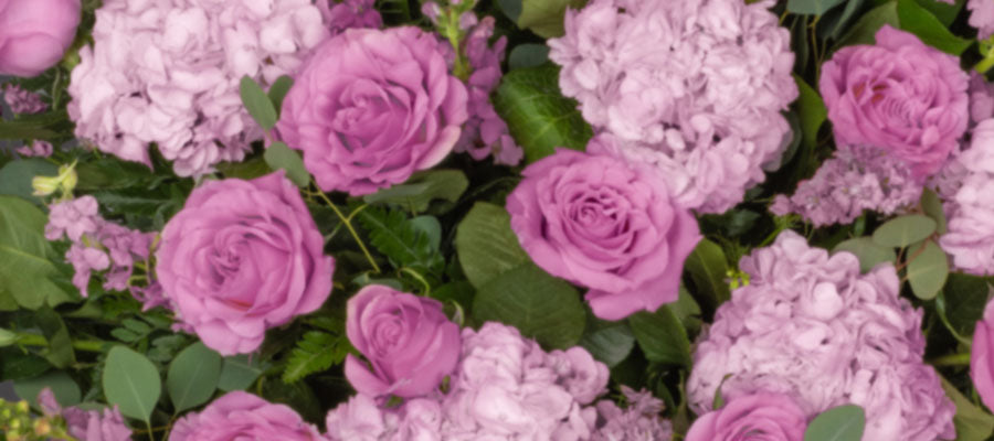 Cluster of lavender roses and lavender hydrangeas