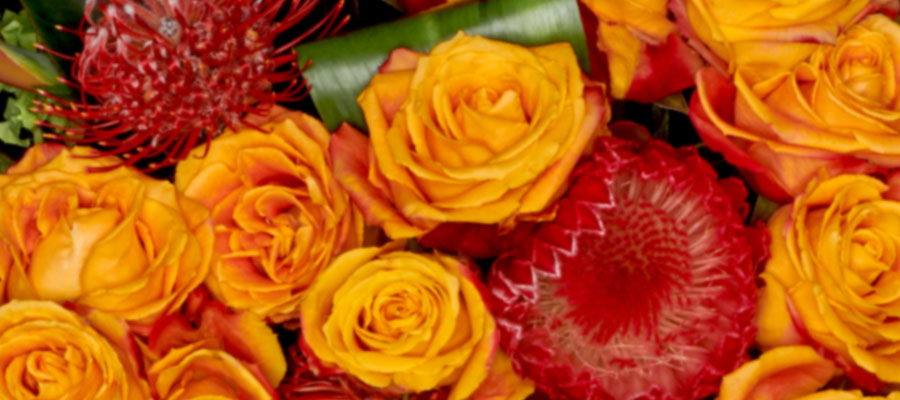 Cluster of bright orange roses and red tropical flowers